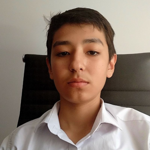 Profile picture of user Behruz Berdimurodov