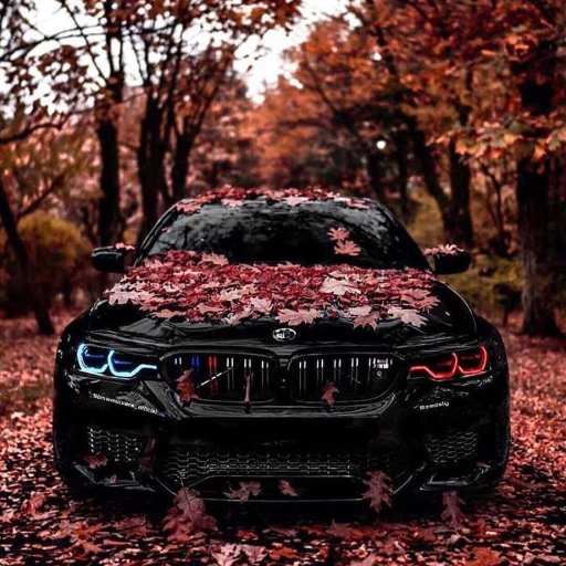 Profile picture of user Akromov Lochinbek