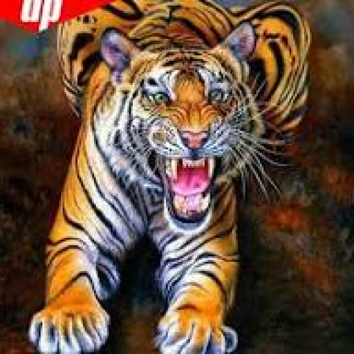 Profile picture of user ronaldoni muhlisi