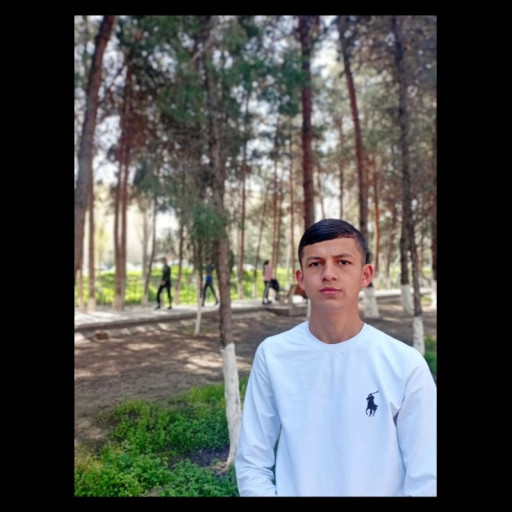 Profile picture of user Mirazizbek Qarshiyev