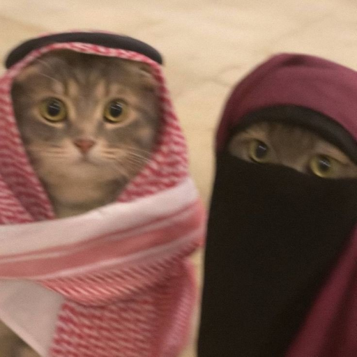 Profile picture of user Abdunazarov Asqar