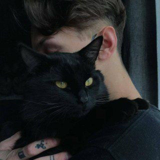 Profile picture of user Nusrat Allamuratov