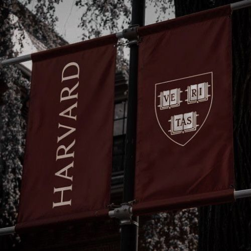 Profile picture of user Toʻychiyeva_Umida