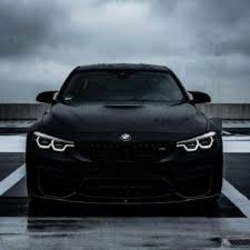 Profile picture of user Muxammadiyev Firdavs