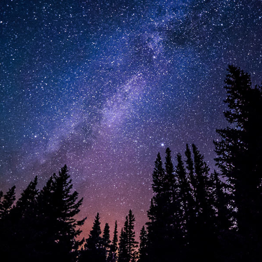 Profile picture of user Shaxinabonu Maxmudova