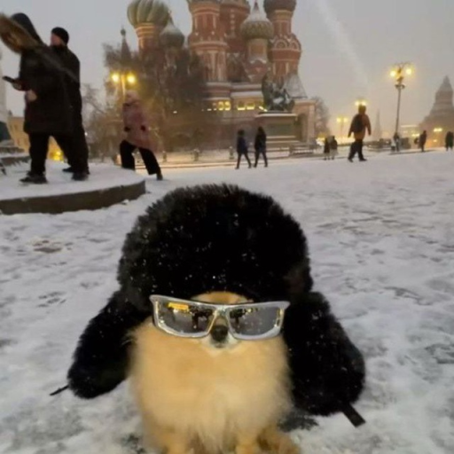 Profile picture of user Olesya Ishcheykina