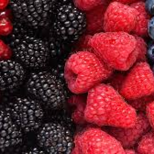 Profile picture of user suxobsuxroob