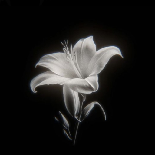 Profile picture of user Mizui