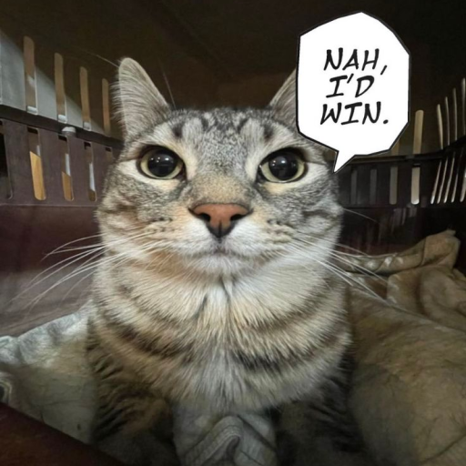 Profile picture of user Diyor