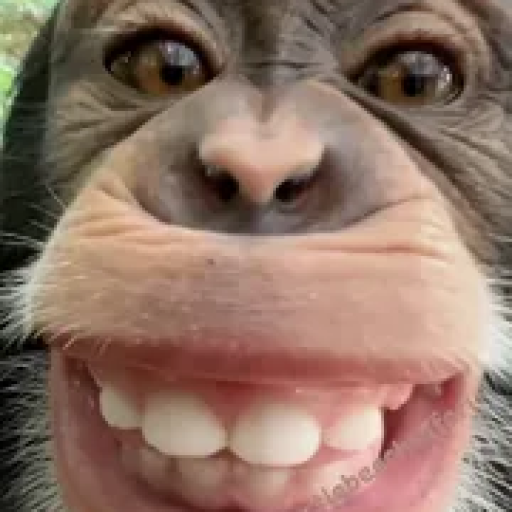 Profile picture of user ashrapov_24