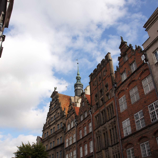 Profile picture of user Xusnora O'rolova