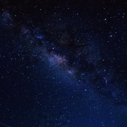 Profile picture of user Xusnora O'rolova