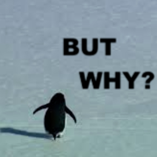 Profile picture of user javohir O'ktamboev