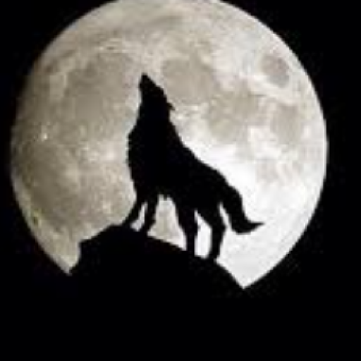 Profile picture of user Одинокий волк