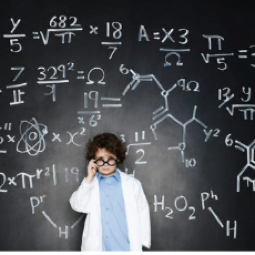 Profile picture of user ibrohim