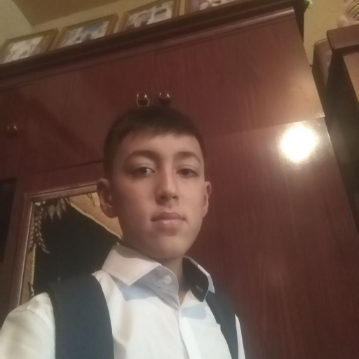 Profile picture of user Mustafayev Otabekjon Ilhom o'g'li