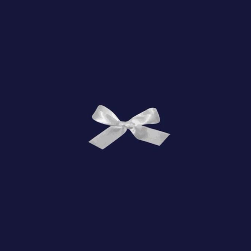 Profile picture of user Lobar Turg'unova