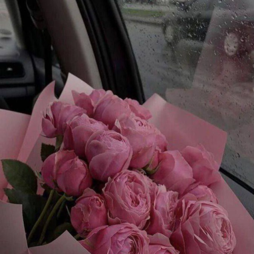 Profile picture of user Nilufar Bekmurodova