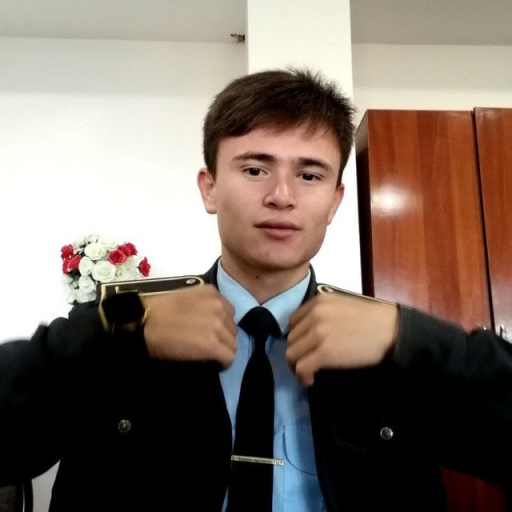 Profile picture of user Bexruz Sariboyev