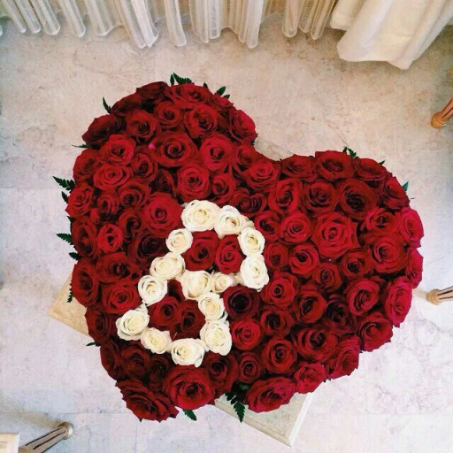 Profile picture of user Bibisora Marifjonova