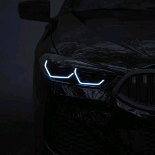 Profile picture of user BMW fan