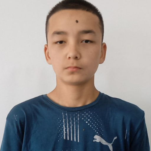 Profile picture of user Nurlan Qonisbaev