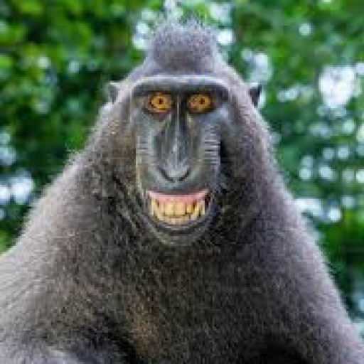 Profile picture of user AVANGAR_013