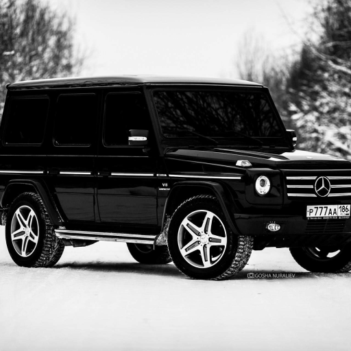 Profile picture of user Alijon