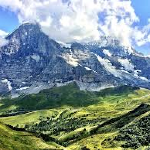 Profile picture of user Dilnoza Fayzullayeva