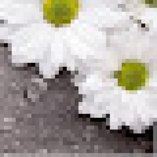 Profile picture of user yunusova xadicha