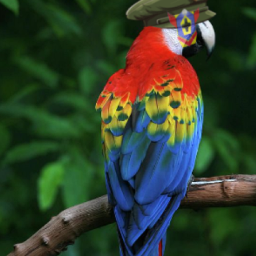 Profile picture of user DJeK_01