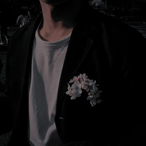 Profile picture of user DarkWild77