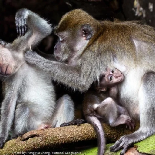 Profile picture of user sardorrrr