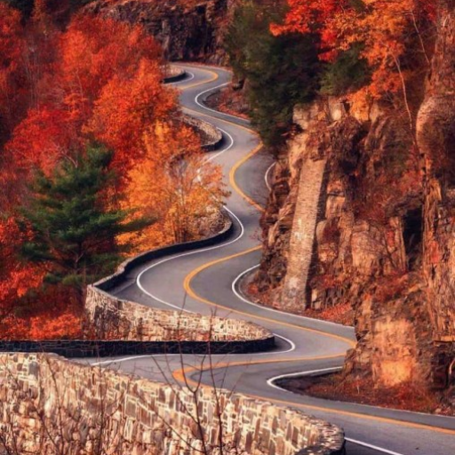 Profile picture of user mahmudov shohruhmirzo