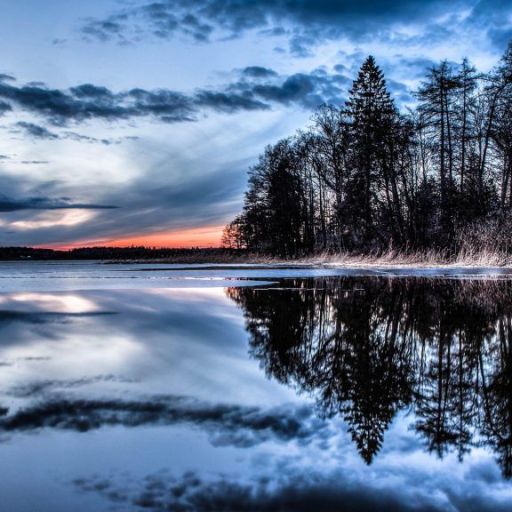 Profile picture of user Tojimatov Oyatillo