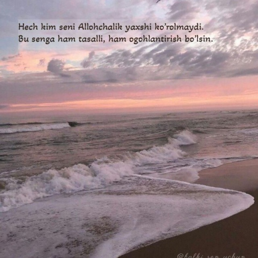 Profile picture of user Danyor Atamuratov