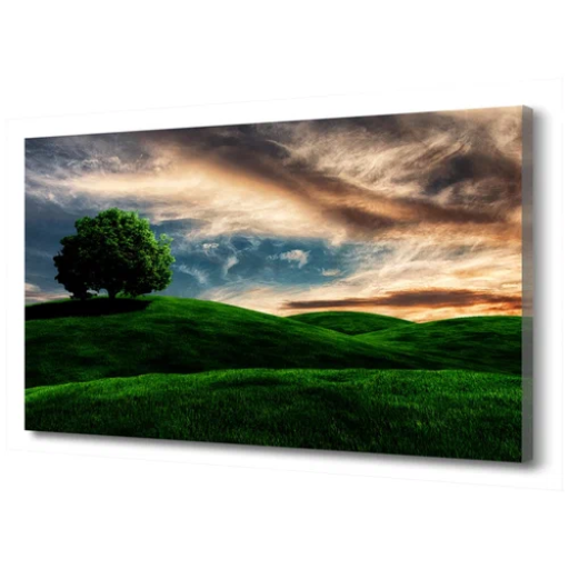 Profile picture of user Komilov Shohjahon