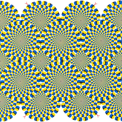 Profile picture of user UMARJANOV SAMARBEK