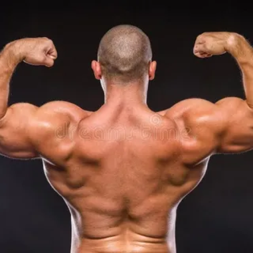 Profile picture of user Dadajonov Xurshidbek