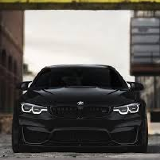 Profile picture of user Belashova Zuhra Olimjon qizi