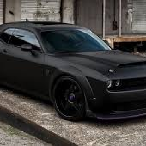 Profile picture of user MUXTOROV UMIDJON