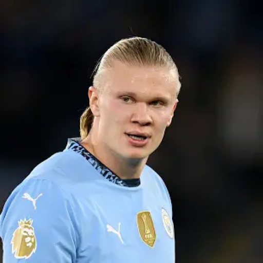 Profile picture of user Absaitov Azizbek