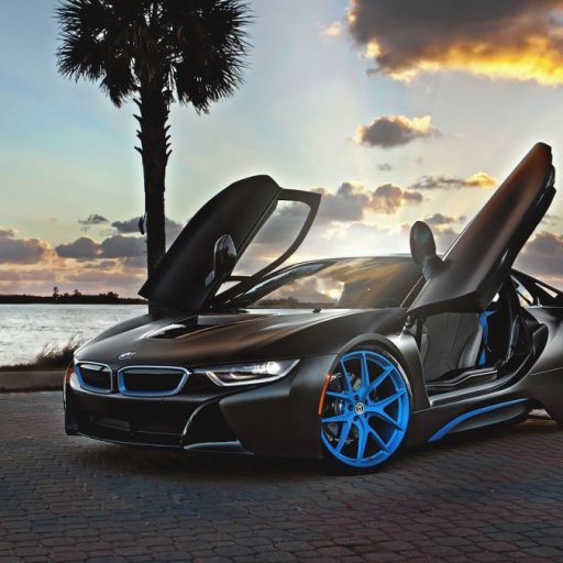 Profile picture of user Saidov   Rustam