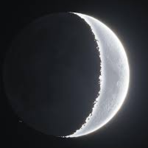 Profile picture of user Temur Qurbaniyazov