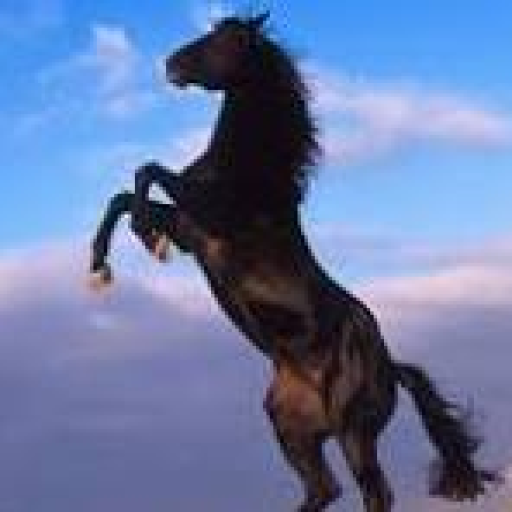 Profile picture of user Komilov Doniyor