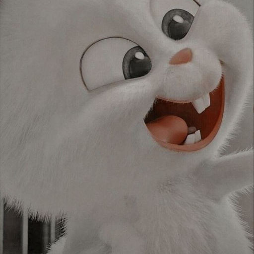 Profile picture of user Sanvarxonova Sayyora