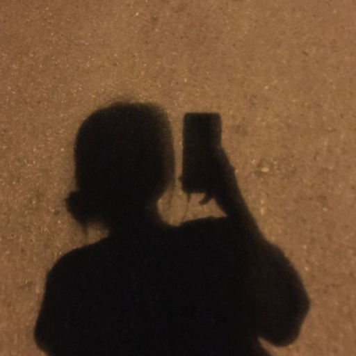 Profile picture of user Jabborova Sevinch