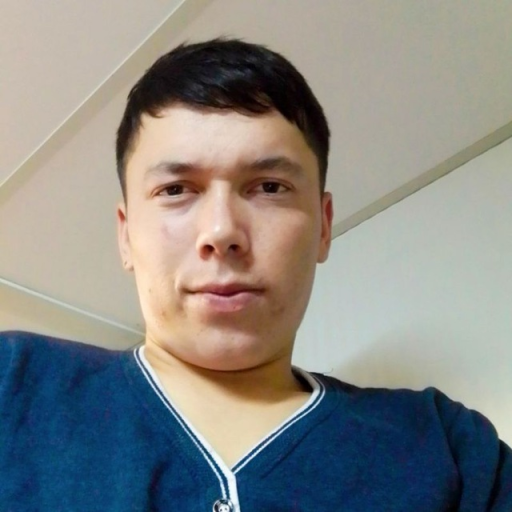 Profile picture of user Elbek Abduraximov
