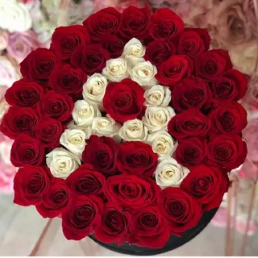 Profile picture of user Niyatova Jasmina