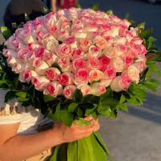 Profile picture of user Niyatova Jasmina